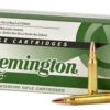 Ammunition Canada