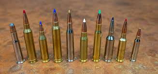 Best Ammunition for Moose. Deer. and Bear Hunting in Canada
